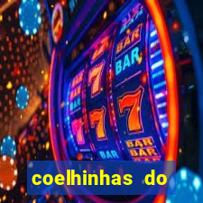 coelhinhas do brasil site